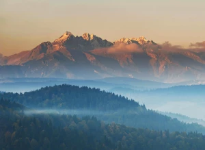 Radzimy jak wyposażyć mieszkanie taniej