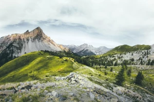 wyposażyć mieszkanie? Jak ekspert!